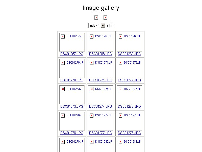index.jpg