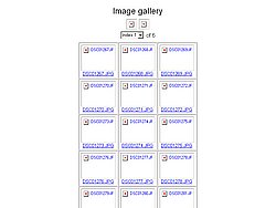 index.jpg