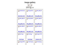 index5.jpg