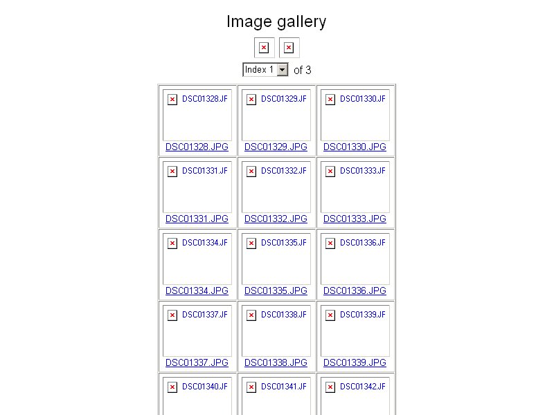 index.jpg