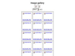 index.jpg