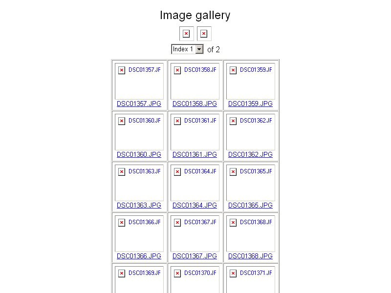 index.jpg